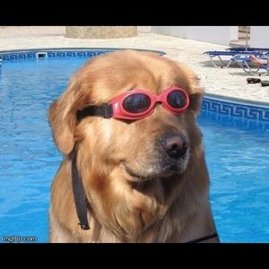 Meet your Posher, Joseph